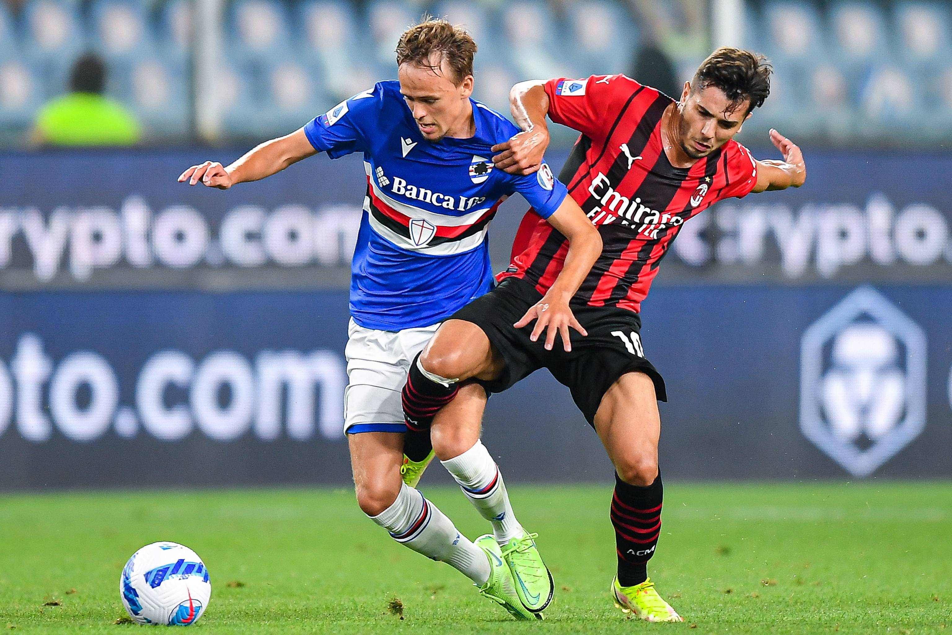 似乎印证了 似乎印证了