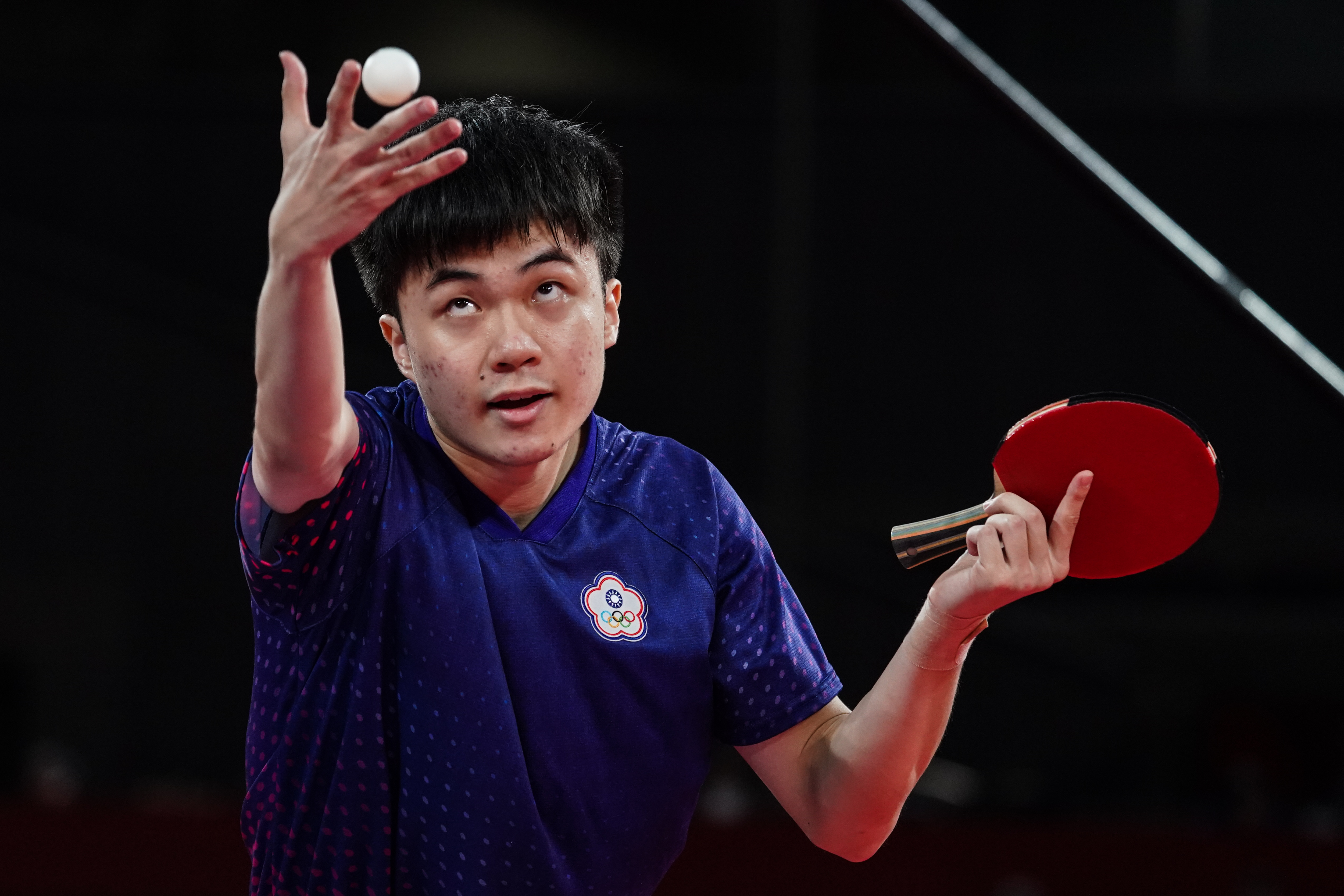 这一领域表 这一领域表