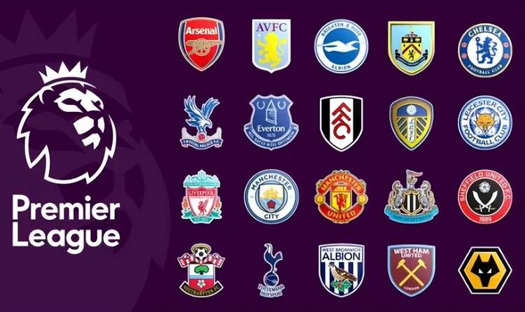 固定其主要 固定其主要