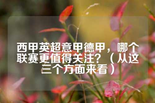 真正的差距